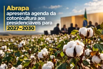 Abrapa apresenta agenda da cotonicultura aos presidenciáveis para 2027–2030
