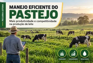 Manejo eficiente do pastejo pode elevar produtividade e competitividade do leite