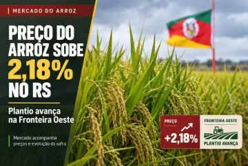 Preço do arroz sobe 2,18% no RS enquanto plantio avança na Fronteira Oeste