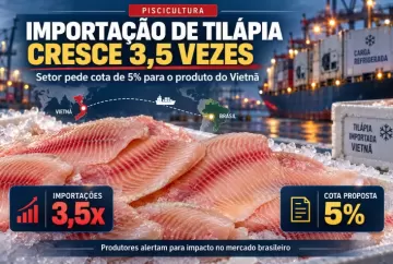 Importação de tilápia do Vietnã cresce 3,5 vezes e setor pede cota de 5%