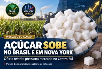Açúcar sobe no Brasil e em Nova York com oferta restrita no Centro-Sul