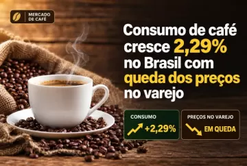 Consumo de café cresce 2,29% no Brasil com queda dos preços no varejo