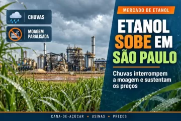 Preço do etanol sobe em São Paulo com chuvas e paralisação da moagem