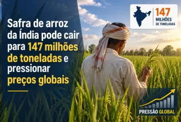 Safra de arroz da Índia pode cair para 147 milhões de toneladas e pressionar preços globais