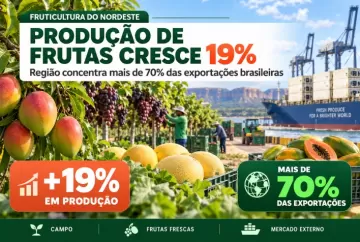 Produção de frutas no Nordeste cresce 19% e região concentra mais de 70% das exportações brasileiras