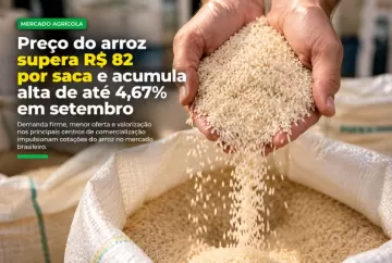 Preço do arroz supera R$ 82 por saca e acumula alta de até 4,67% em setembro