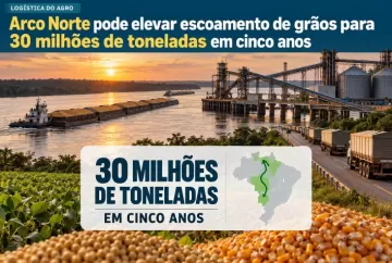 Arco Norte pode elevar escoamento de grãos para 30 milhões de toneladas em cinco anos
