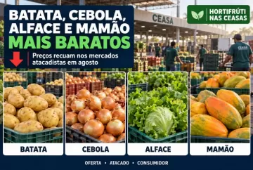 Batata, cebola, alface e mamão ficam mais baratos nas Ceasas em agosto