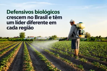Defensivos biológicos crescem no Brasil e têm um líder diferente em cada região