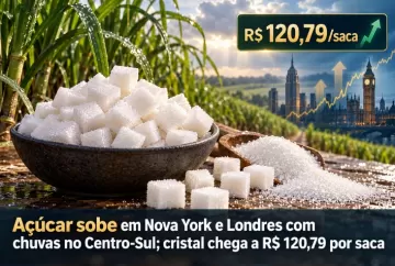 Açúcar sobe em Nova York e Londres com chuvas no Centro-Sul; cristal chega a R$ 120,79 por saca