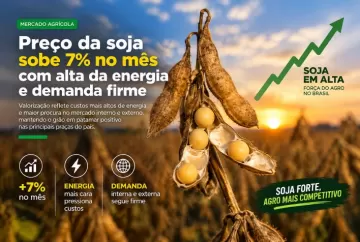 Preço da soja sobe 7% no mês com alta da energia e demanda firme