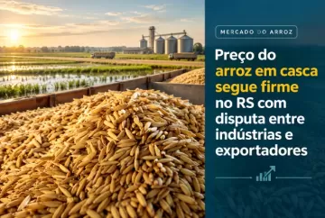 Preço do arroz em casca segue firme no RS com disputa entre indústrias e exportadores