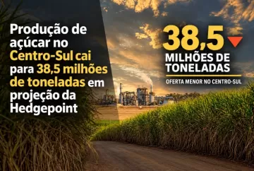 Produção de açúcar no Centro-Sul cai para 38,5 milhões de toneladas em projeção da Hedgepoint