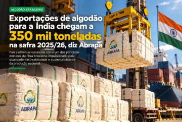 Exportações de algodão brasileiro para a Índia chegam a 350 mil toneladas na safra 2025/26, diz Abrapa