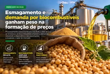 Soja: esmagamento e demanda por biocombustíveis ganham peso na formação de preços