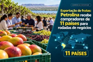 Exportação de frutas: Petrolina recebe compradores de 11 países para rodadas de negócios