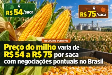 Preço do milho varia de R$ 54 a R$ 75 por saca com negociações pontuais no Brasil