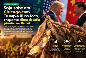 Soja sobe em Chicago com Trump e Xi no foco, enquanto clima desafia plantio no Brasil
