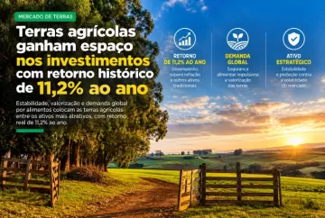 Terras agrícolas ganham espaço nos investimentos com retorno histórico de 11,2% ao ano