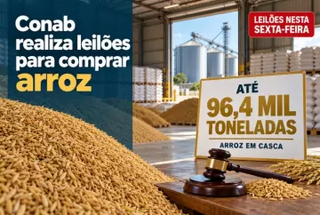 Conab realiza leilões para comprar até 96,4 mil toneladas de arroz nesta sexta-feira