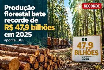 Produção florestal bate recorde de R$ 47,9 bilhões em 2025, aponta IBGE