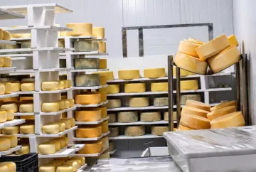 Produção de leite cresce 2,38% no RS, mas importações pressionam pequenos laticínios