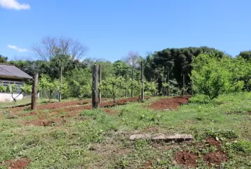 DITR 2026: prazo termina em 30 de setembro; Receita libera programa para todos os imóveis rurais