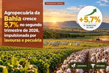 Agropecuária da Bahia cresce 5,7% no segundo trimestre de 2026, impulsionada por lavouras e pecuária
