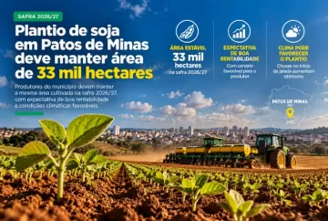 Plantio de soja em Patos de Minas deve manter área de 33 mil hectares na safra 2026/27