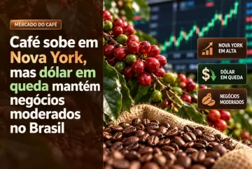 Café sobe em Nova York, mas dólar em queda mantém negócios moderados no Brasil