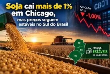 Soja cai mais de 1% em Chicago, mas preços seguem estáveis no Sul do Brasil