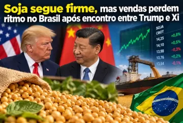 Soja segue firme, mas vendas perdem ritmo no Brasil após encontro entre Trump e Xi