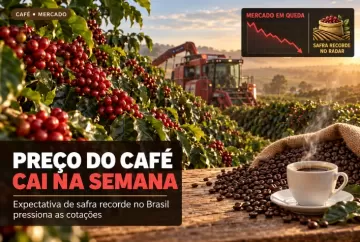 Preço do café cai na semana com expectativa de safra recorde no Brasil
