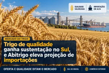 Trigo de qualidade ganha sustentação no Sul, e Abitrigo eleva projeção de importações