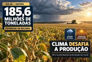 Safra de soja pode chegar a 185,6 milhões de toneladas, mas clima desafia produção recorde