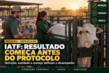 IATF na pecuária: nutrição, sanidade e manejo definem resultados antes do protocolo