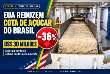 EUA reduzem cota de açúcar do Brasil em 36%; setor do Nordeste estima impacto de US$ 30 milhões