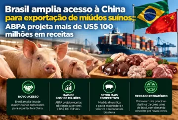 Brasil amplia acesso à China para exportação de miúdos suínos; ABPA projeta mais de US$ 100 milhões em receitas