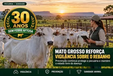 Mato Grosso completa 30 anos sem febre aftosa e reforça vigilância sobre o rebanho