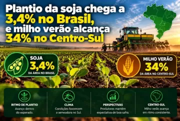 Plantio da soja chega a 3,4% no Brasil, e milho verão alcança 34% no Centro-Sul