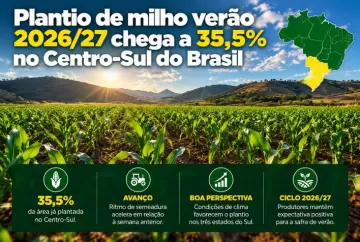Plantio de milho verão 2026/27 chega a 35,5% no Centro-Sul do Brasil
