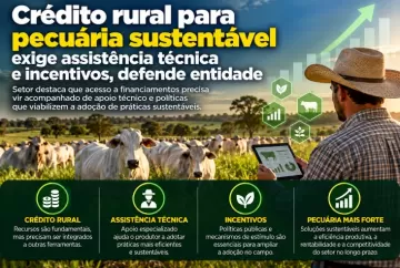 Crédito rural para pecuária sustentável exige assistência técnica e incentivos, defende entidade