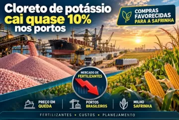 Cloreto de potássio cai quase 10% nos portos e favorece compras para a safrinha de milho