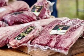 Carne Angus premium: workshop em Pelotas debate mercado e rentabilidade do pecuarista