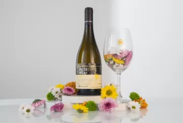 Casa Perini lança vinho Vermentino e amplia cultivo de variedades no Vale Trentino