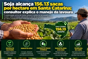 Soja alcança 156,13 sacas por hectare em Santa Catarina; consultor explica o manejo da lavoura