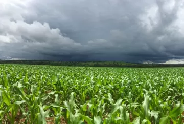 El Niño eleva risco climático para a safra 2026/27 e exige atenção do agronegócio