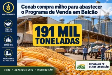 Conab compra 191 mil toneladas de milho para abastecer Programa de Venda em Balcão