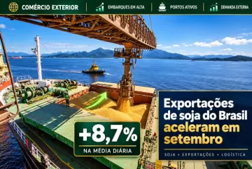 Exportações de soja do Brasil aceleram em setembro, com alta de 8,7% na média diária