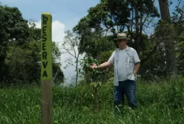 Reflorestamento monitorado gera R$ 1,2 milhão em fazenda no Sul de Minas